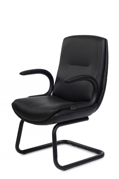 Кресло Данте-СФ C2561-12