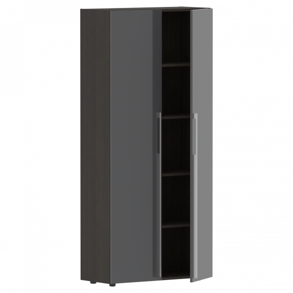 Шкаф высокий глухой СП-064-25-14 900х450х2010 KANON